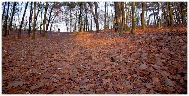 Nijmegen fall